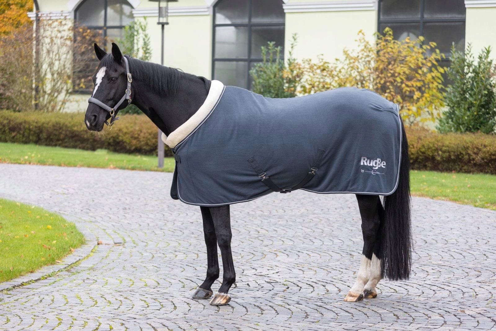 Derka polarowa Covalliero RugBe Royal - obrazek 7