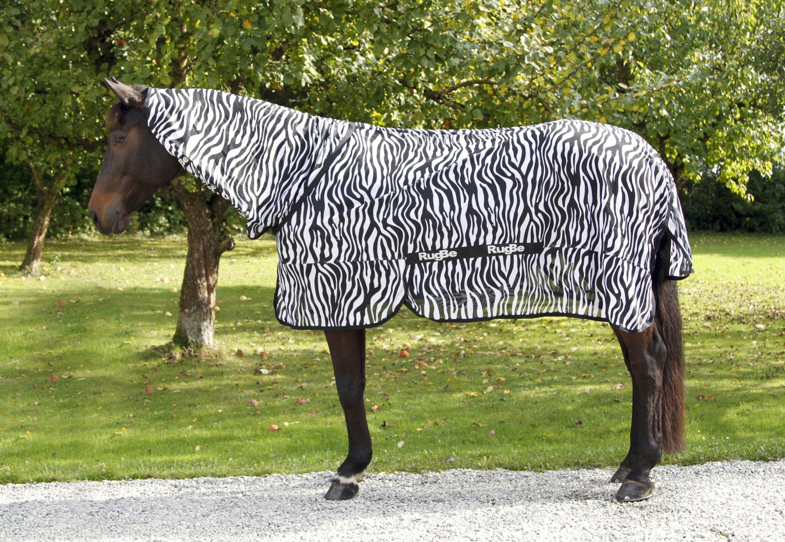Derka przeciwowadowa dla konia Rugbe Zebra, Covalliero - obrazek 8