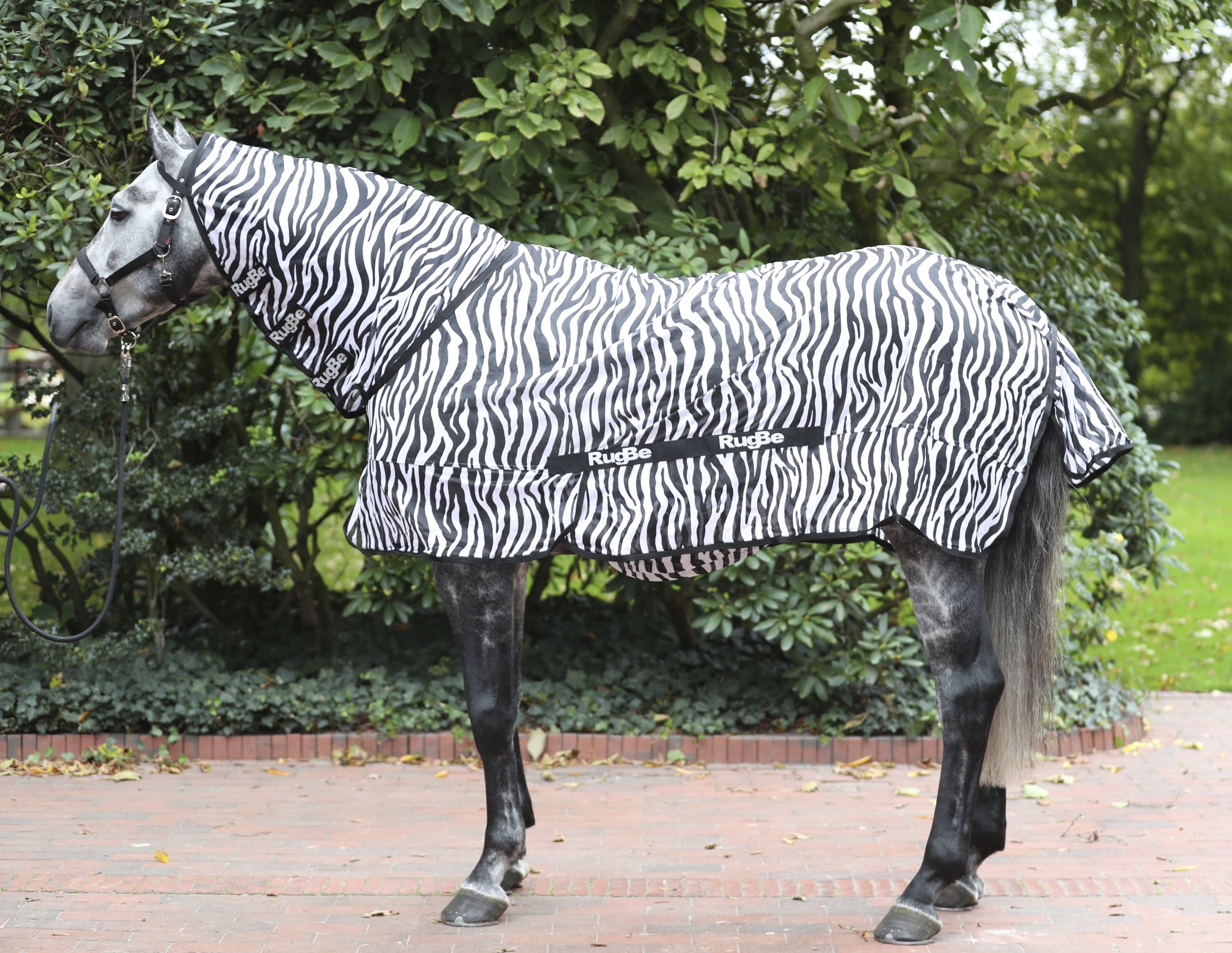 Derka przeciwowadowa dla konia Rugbe Zebra, Covalliero - obrazek 4