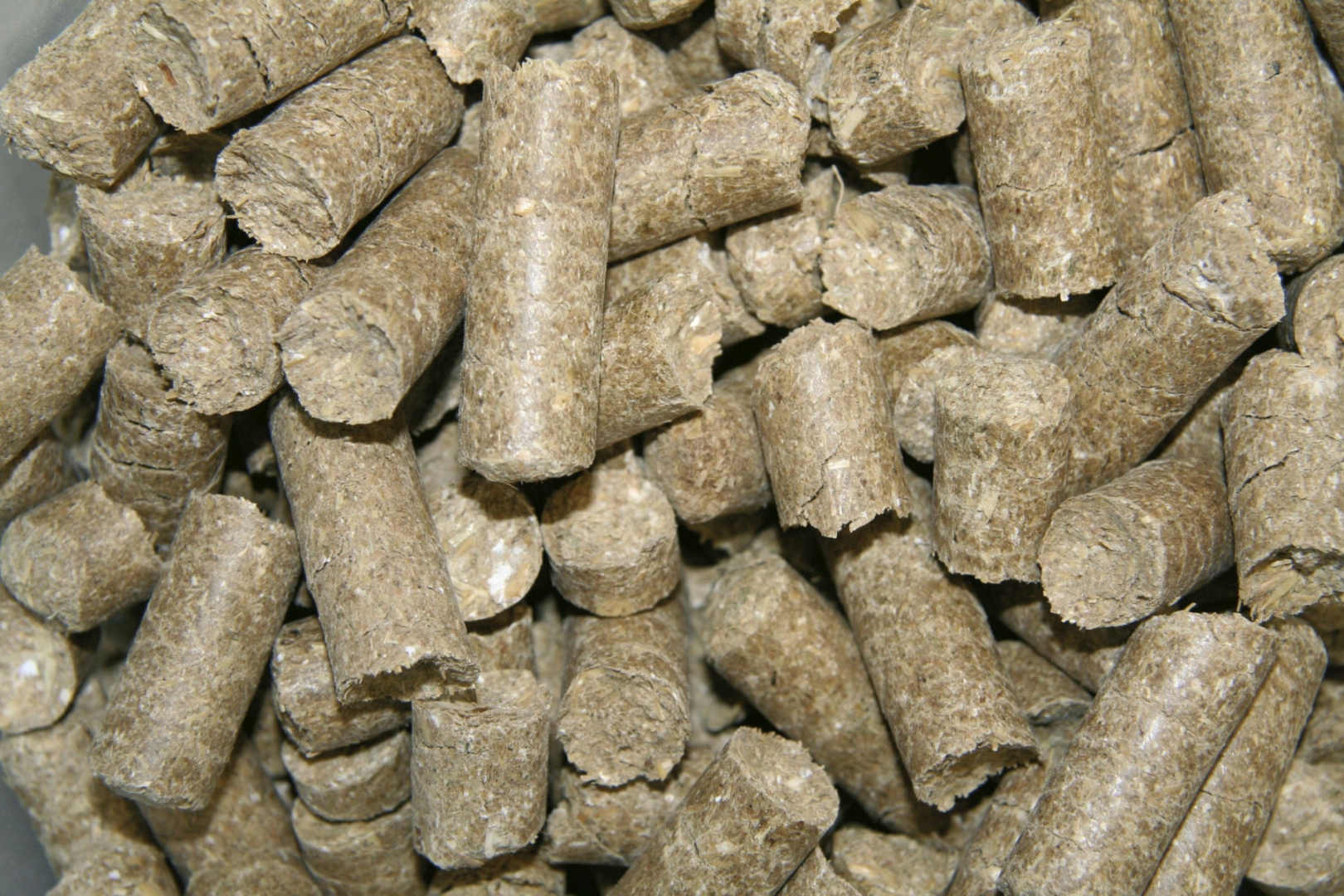 Smakołyki dla konia Delizia Classic, BANAN, 1 kg - obrazek 3