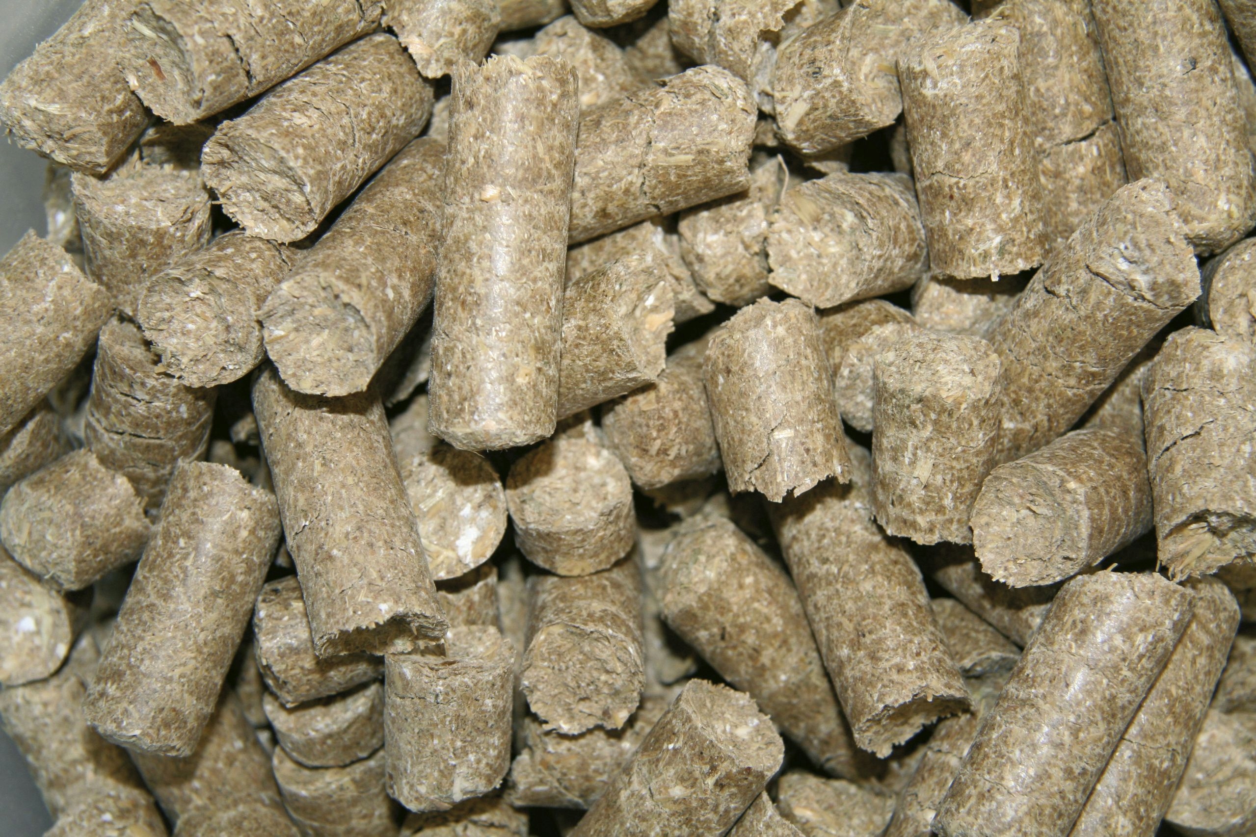 Suplement smaczki dla konia Kerbl Delizia malinowa 1 kg - obrazek 3